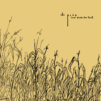 The Pine "Lead Blocks For Feet"