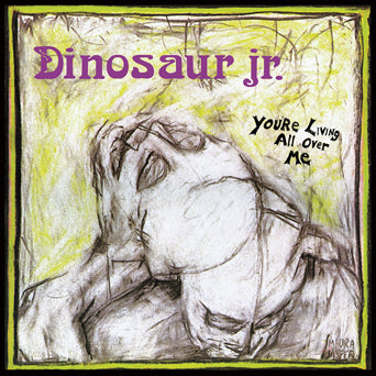 Dinosaur Jr. "You're Living All Over Me"