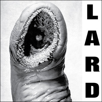 Lard "The Power Of Lard (Color Vinyl)"