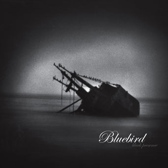 Bluebird "Black Presence"