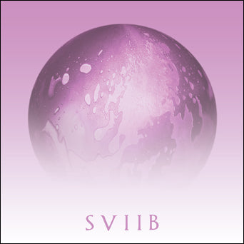 School Of Seven Bells "SVIIB"